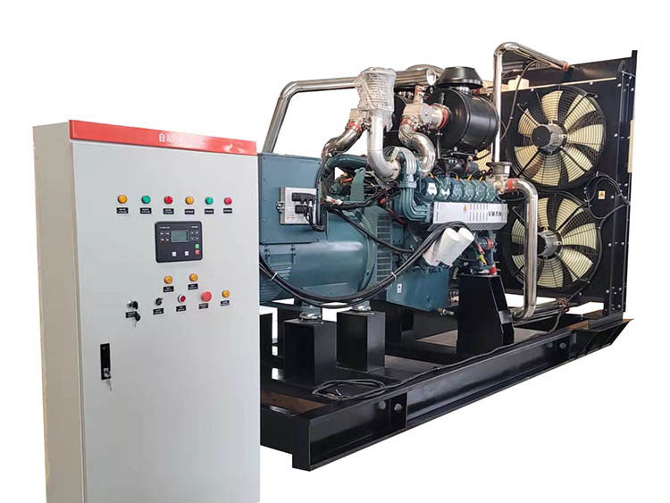 300KW 沼氣發(fā)電機(jī)組